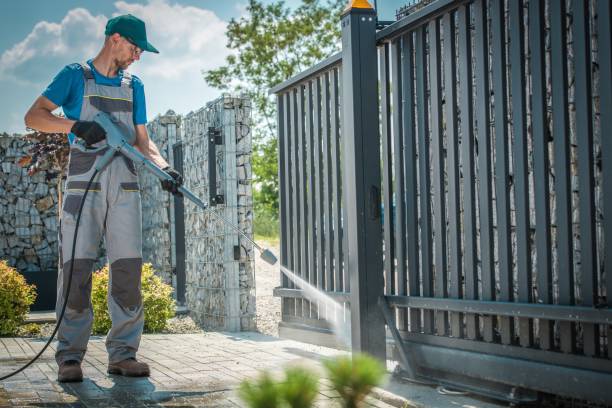 Best Solar Panel Cleaning  in Livingston, TX