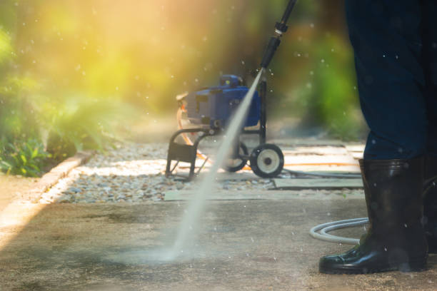 Best Driveway Pressure Washing  in Livingston, TX